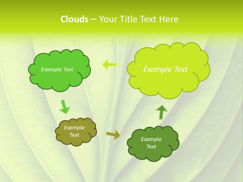 Natural Bright Flora PowerPoint Template