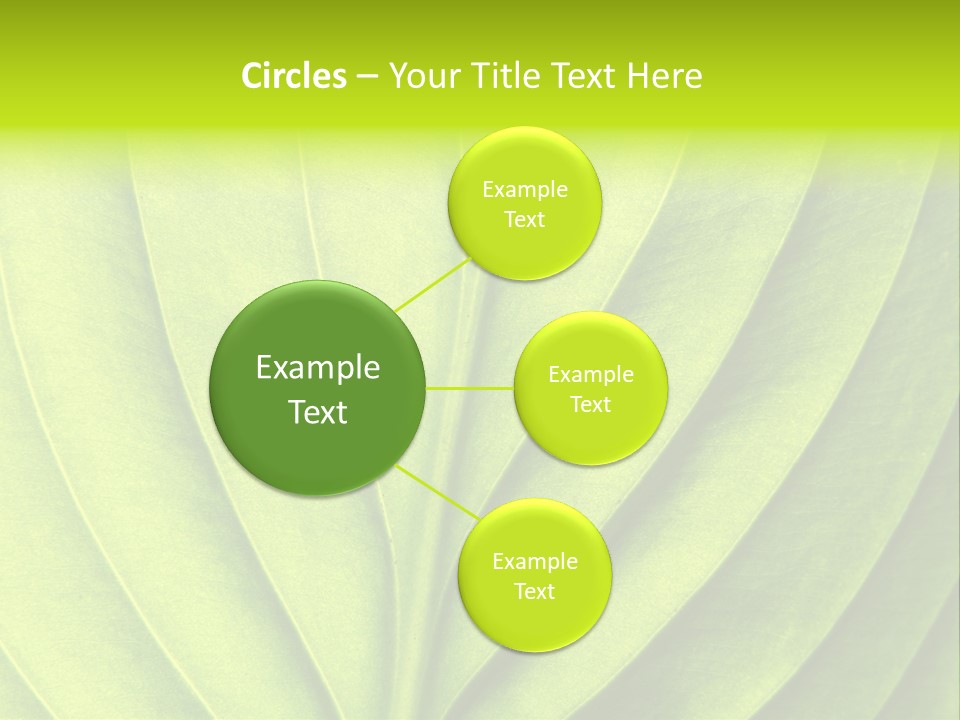 Natural Bright Flora PowerPoint Template