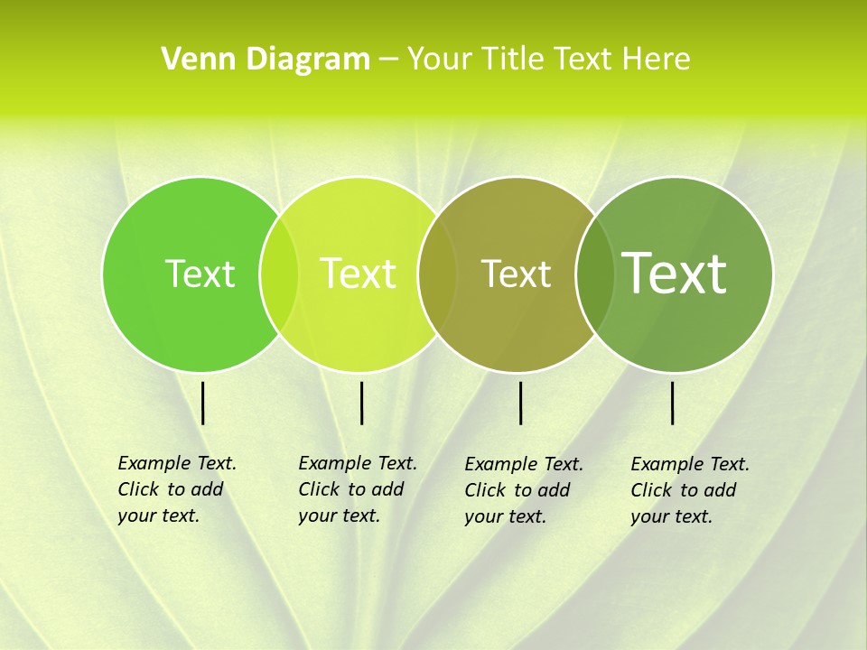Natural Bright Flora PowerPoint Template