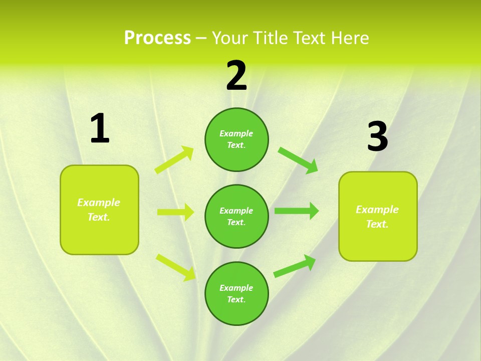 Natural Bright Flora PowerPoint Template