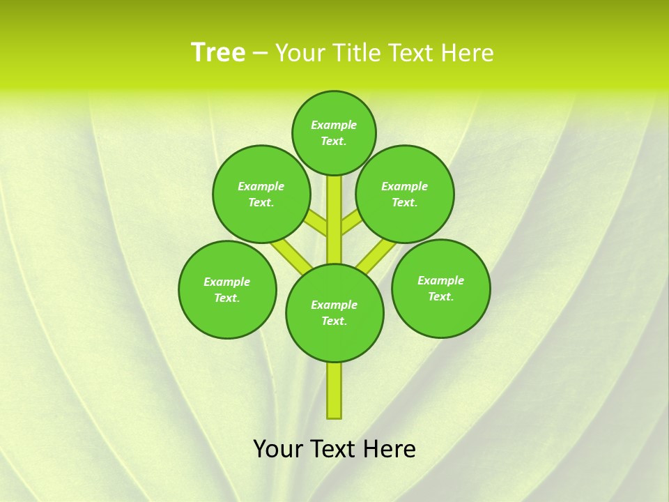 Natural Bright Flora PowerPoint Template