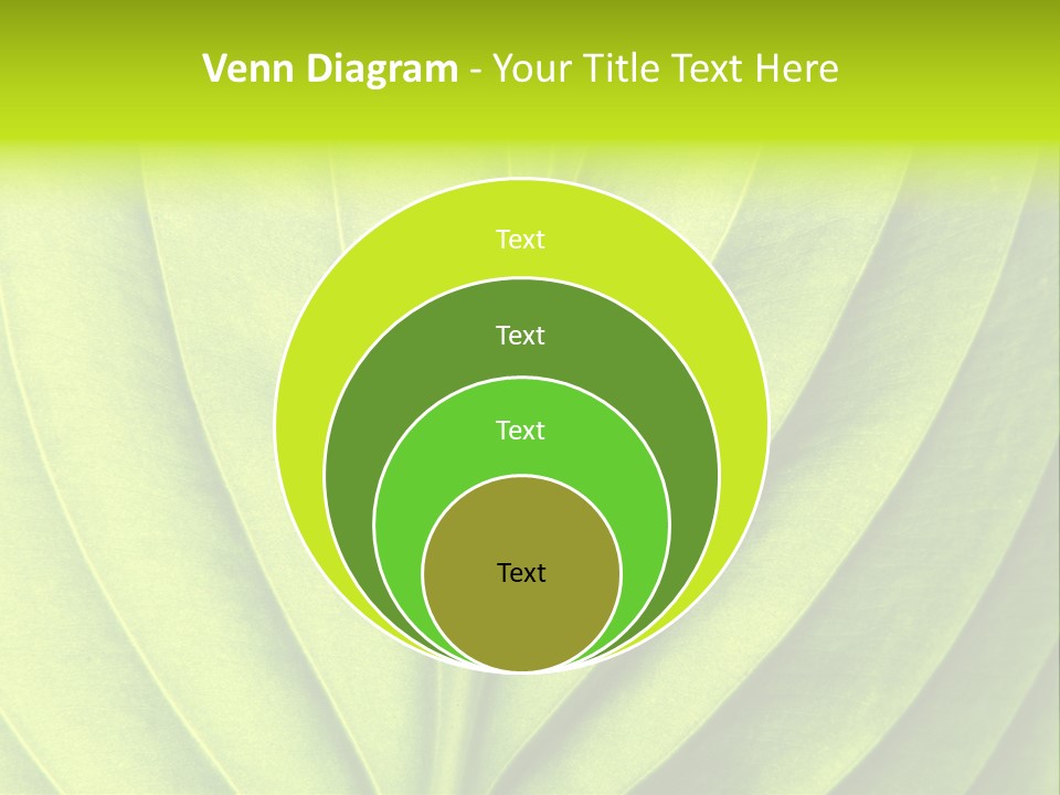 Natural Bright Flora PowerPoint Template
