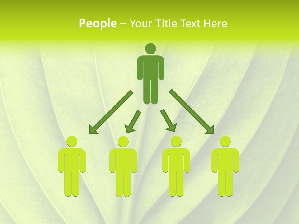 Natural Bright Flora PowerPoint Template