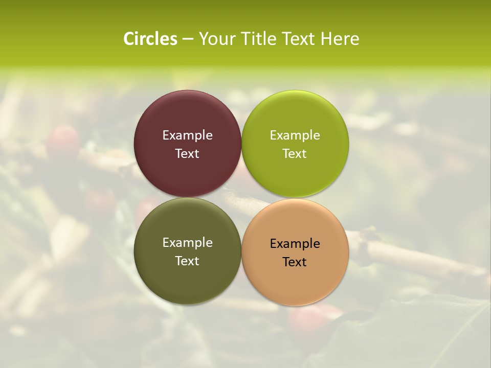 A Bunch Of Berries Are Growing On A Tree PowerPoint Template