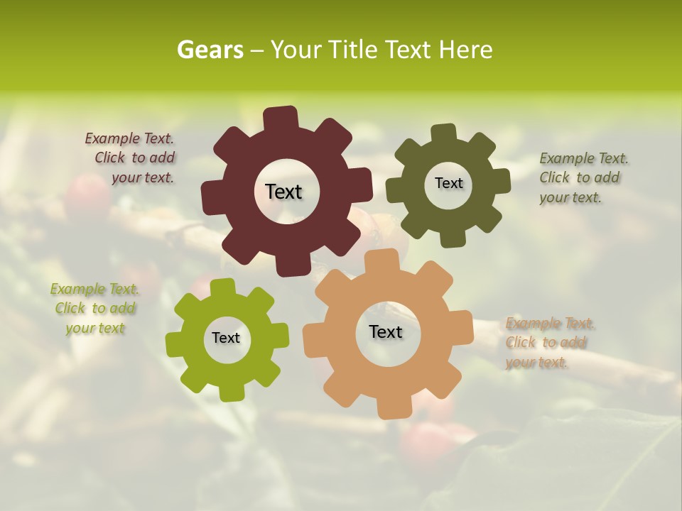 A Bunch Of Berries Are Growing On A Tree PowerPoint Template