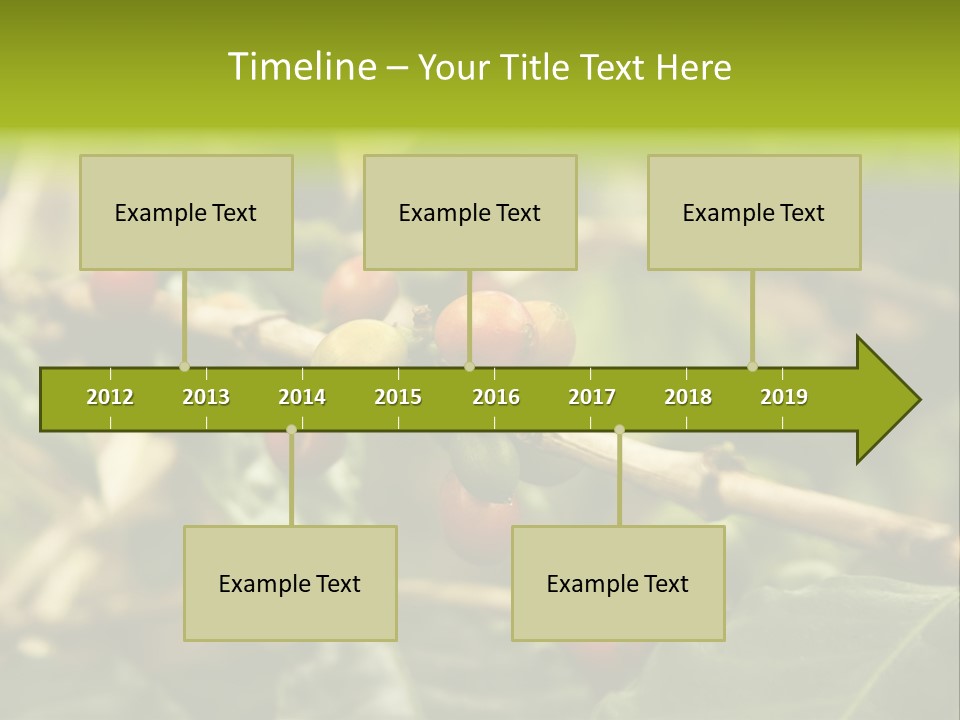 A Bunch Of Berries Are Growing On A Tree PowerPoint Template