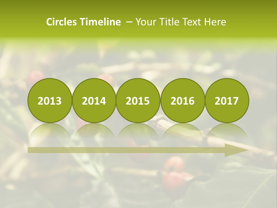 A Bunch Of Berries Are Growing On A Tree PowerPoint Template