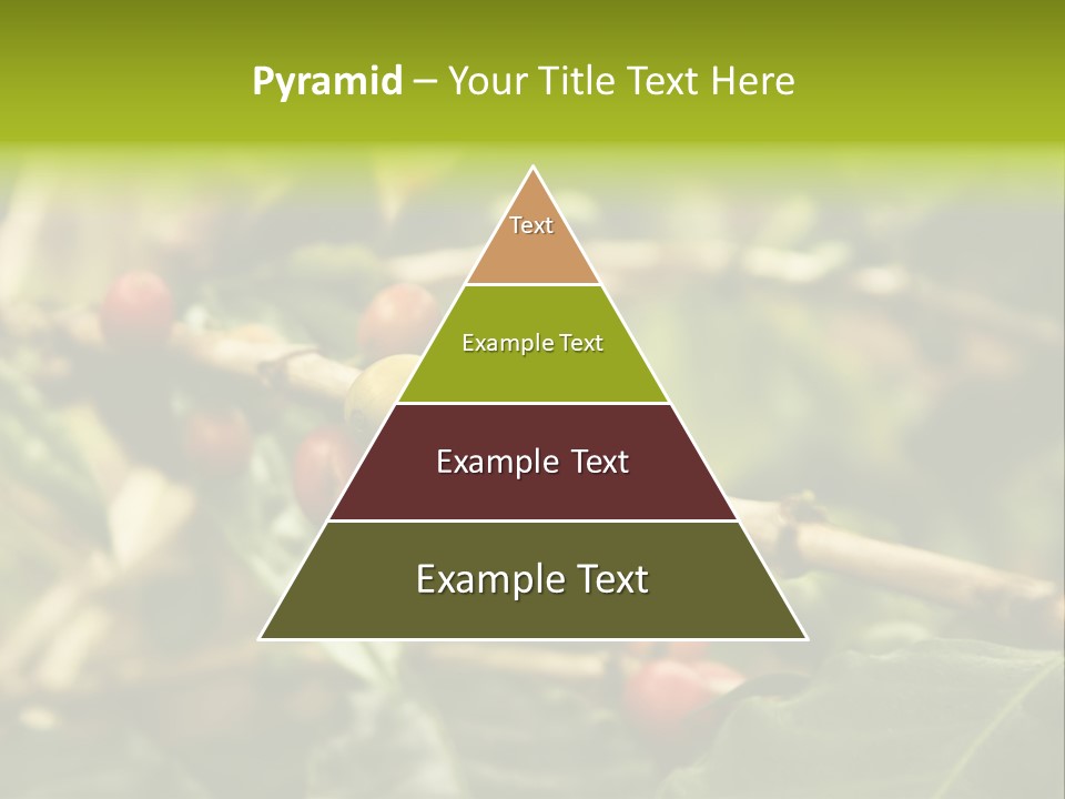 A Bunch Of Berries Are Growing On A Tree PowerPoint Template