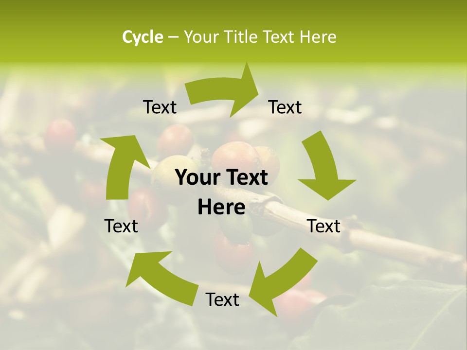 A Bunch Of Berries Are Growing On A Tree PowerPoint Template