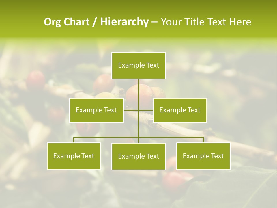 A Bunch Of Berries Are Growing On A Tree PowerPoint Template