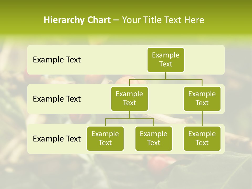 A Bunch Of Berries Are Growing On A Tree PowerPoint Template