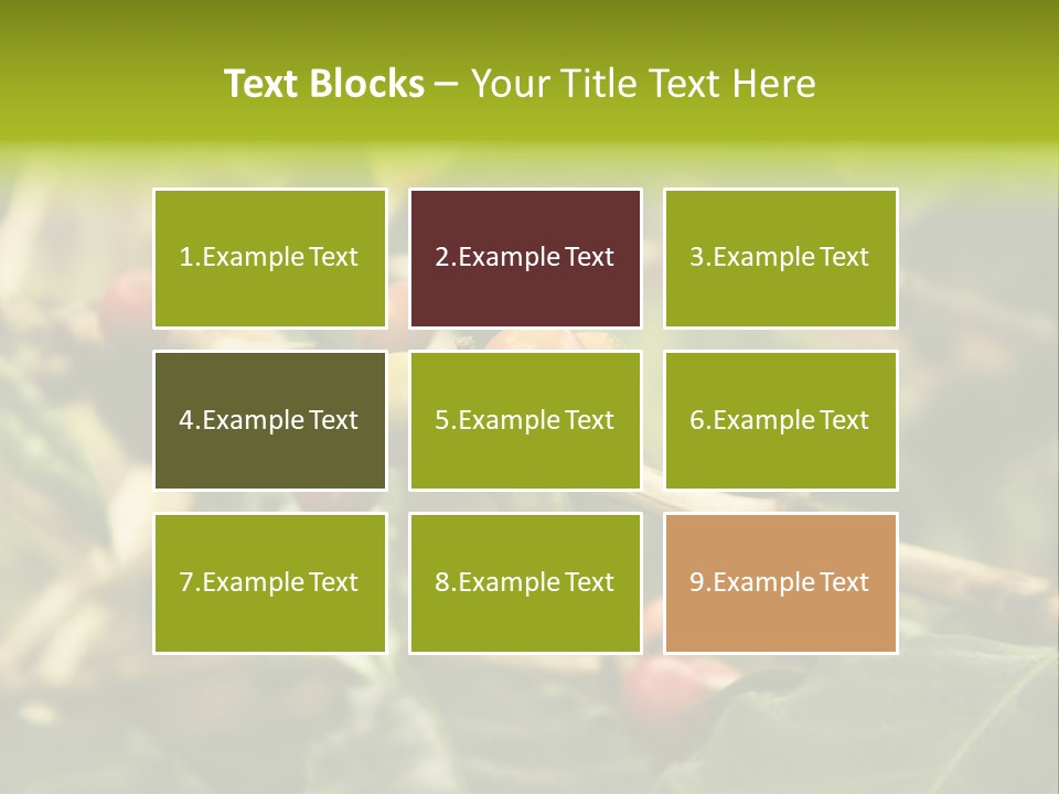 A Bunch Of Berries Are Growing On A Tree PowerPoint Template