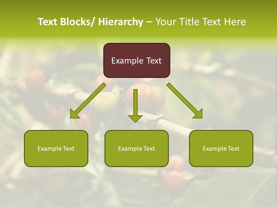 A Bunch Of Berries Are Growing On A Tree PowerPoint Template