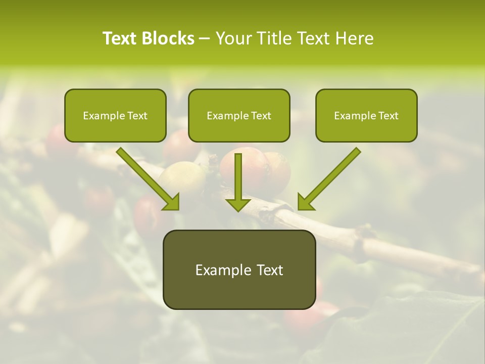 A Bunch Of Berries Are Growing On A Tree PowerPoint Template