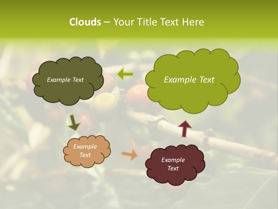A Bunch Of Berries Are Growing On A Tree PowerPoint Template