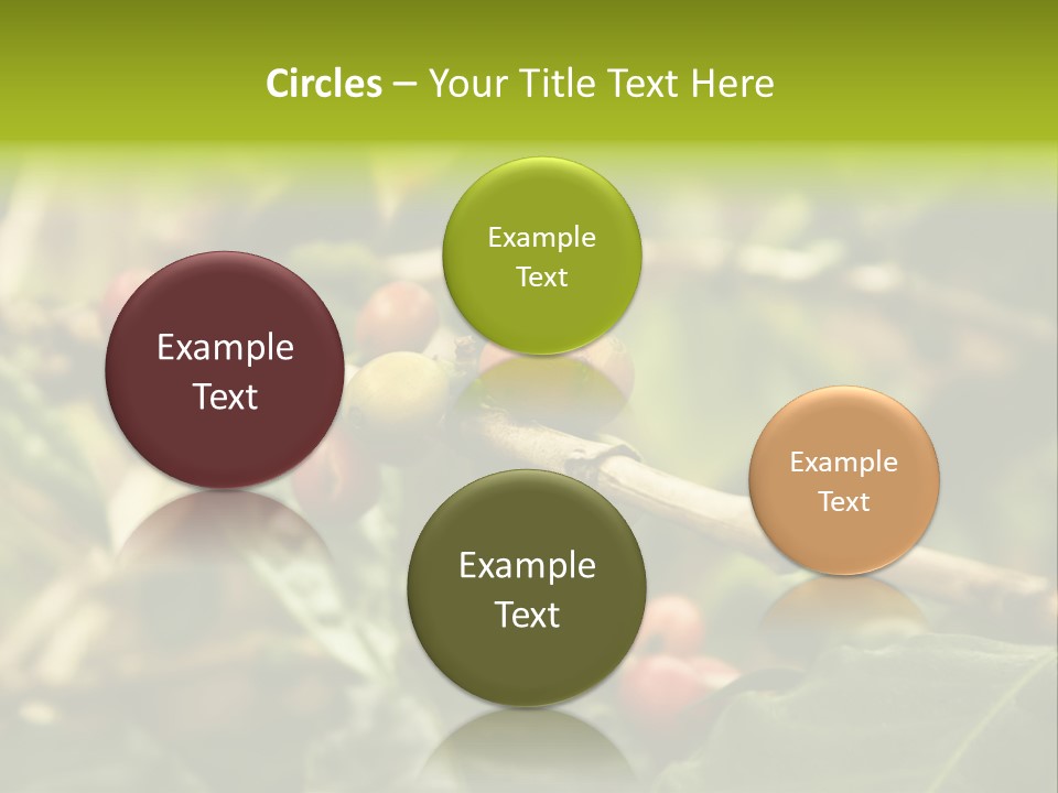 A Bunch Of Berries Are Growing On A Tree PowerPoint Template