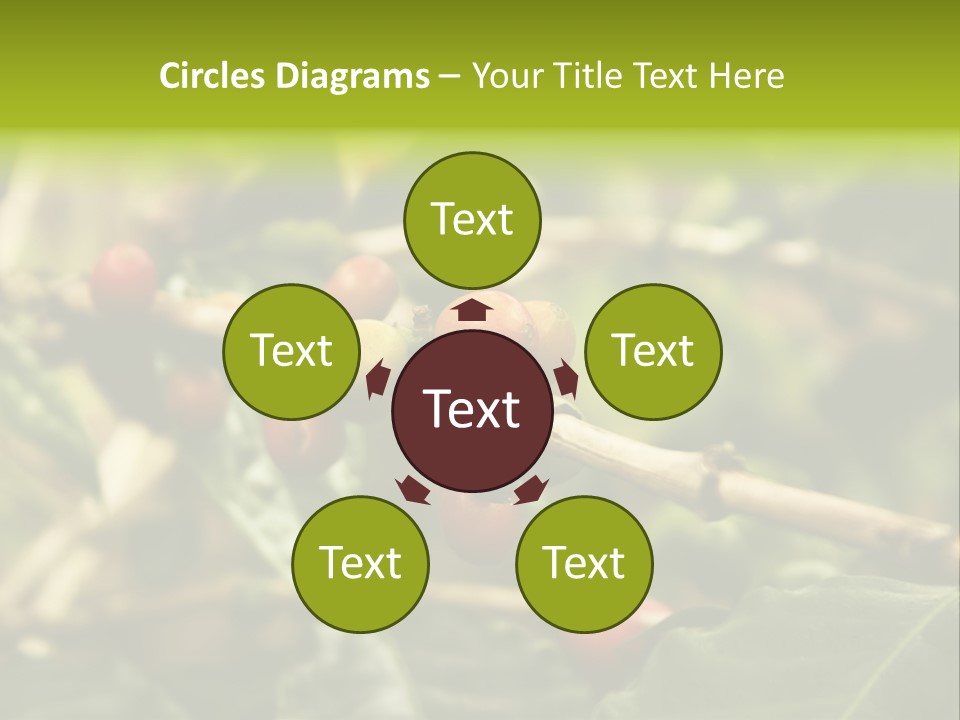 A Bunch Of Berries Are Growing On A Tree PowerPoint Template