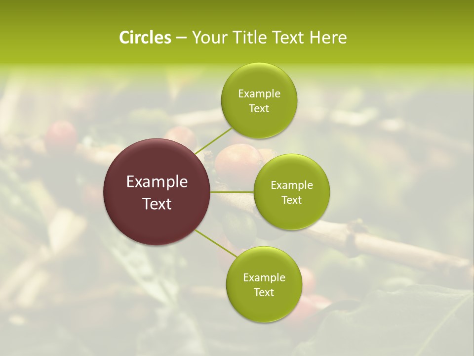 A Bunch Of Berries Are Growing On A Tree PowerPoint Template