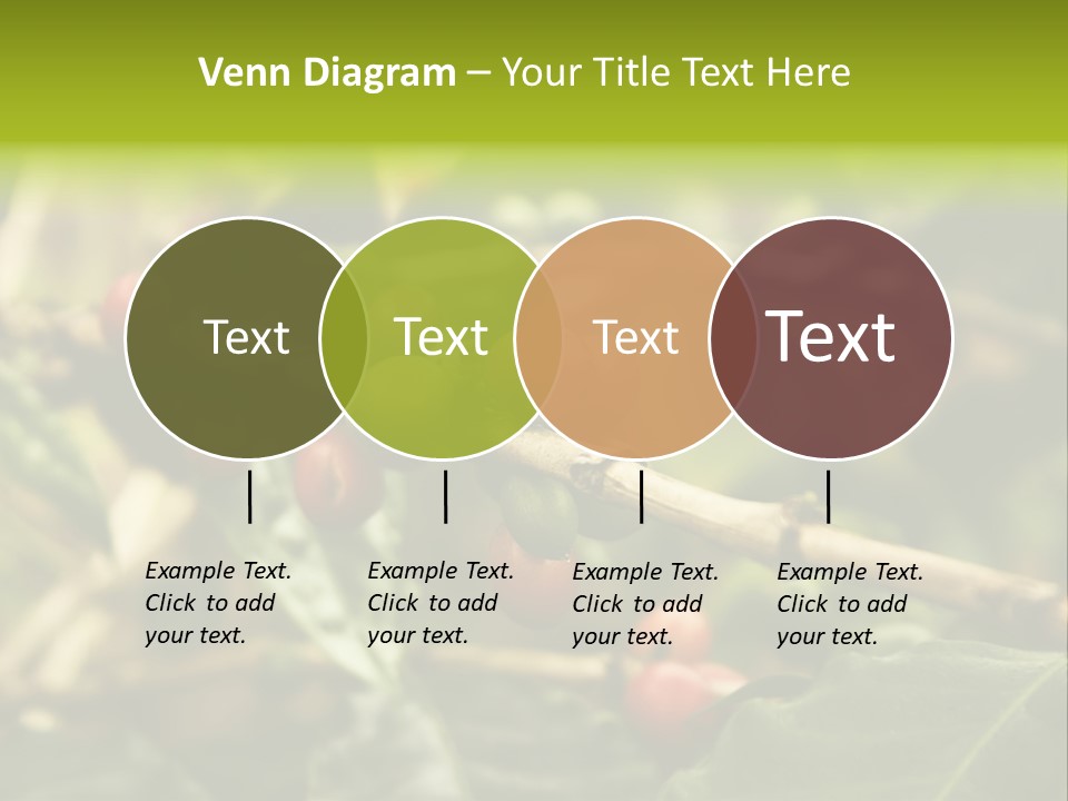 A Bunch Of Berries Are Growing On A Tree PowerPoint Template