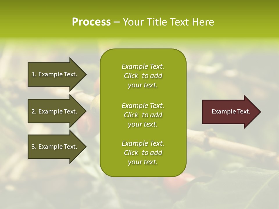 A Bunch Of Berries Are Growing On A Tree PowerPoint Template