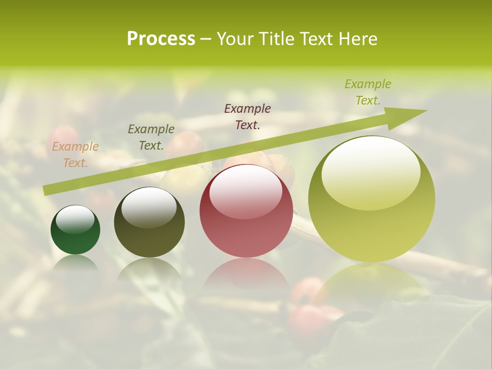 A Bunch Of Berries Are Growing On A Tree PowerPoint Template