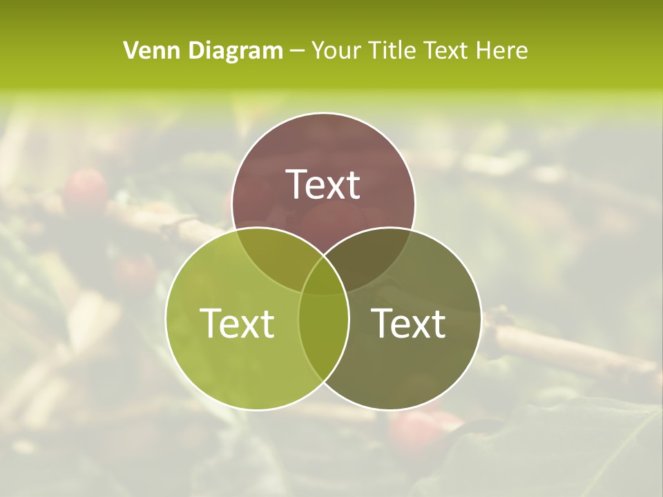 A Bunch Of Berries Are Growing On A Tree PowerPoint Template