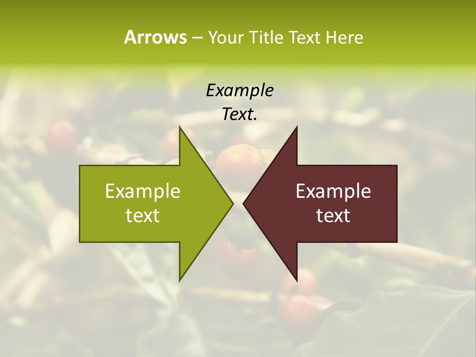 A Bunch Of Berries Are Growing On A Tree PowerPoint Template
