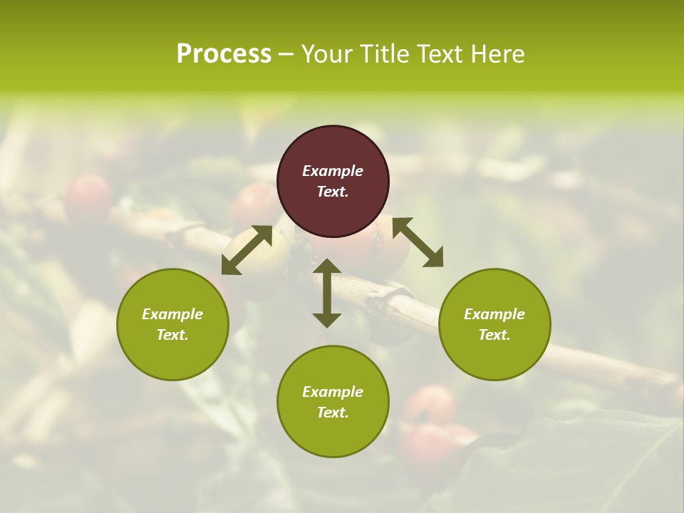 A Bunch Of Berries Are Growing On A Tree PowerPoint Template