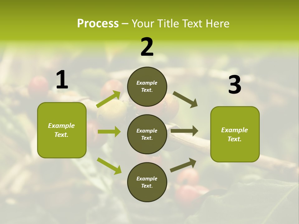 A Bunch Of Berries Are Growing On A Tree PowerPoint Template