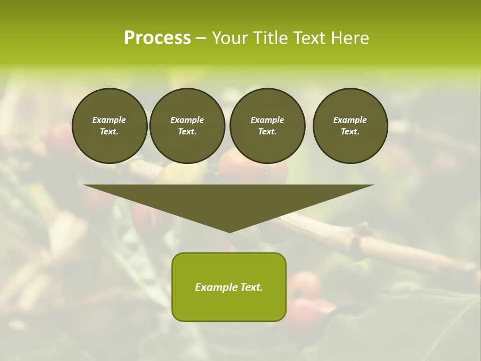 A Bunch Of Berries Are Growing On A Tree PowerPoint Template