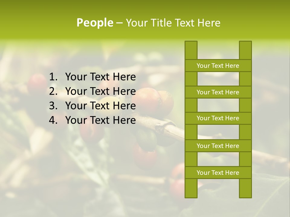 A Bunch Of Berries Are Growing On A Tree PowerPoint Template