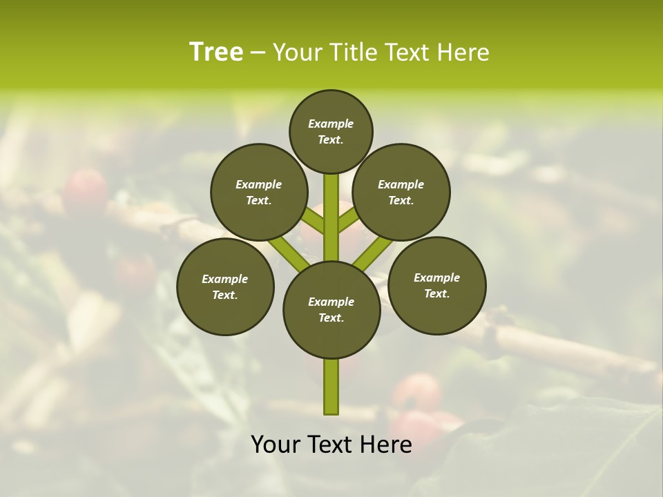 A Bunch Of Berries Are Growing On A Tree PowerPoint Template