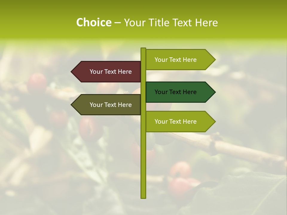 A Bunch Of Berries Are Growing On A Tree PowerPoint Template