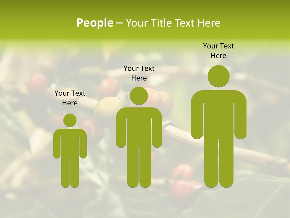 A Bunch Of Berries Are Growing On A Tree PowerPoint Template