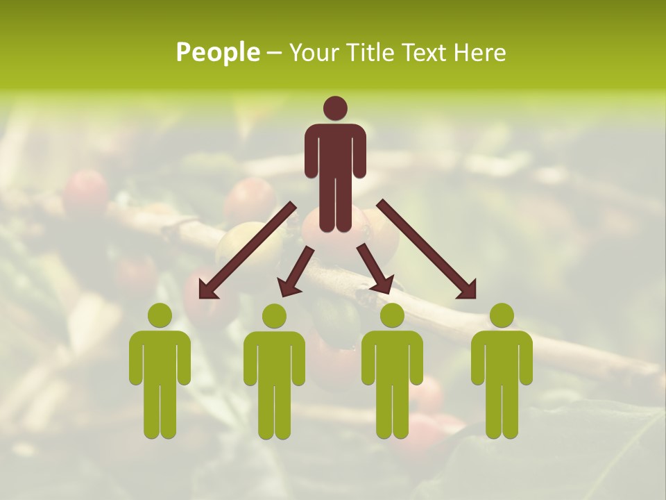 A Bunch Of Berries Are Growing On A Tree PowerPoint Template