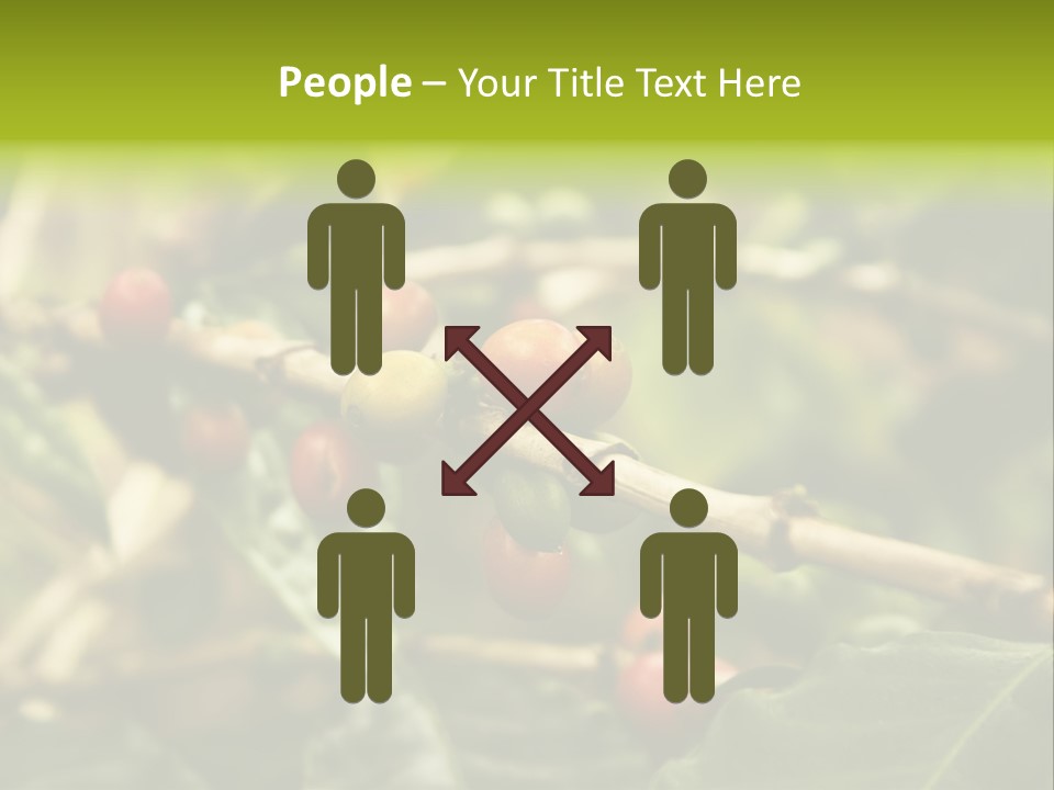 A Bunch Of Berries Are Growing On A Tree PowerPoint Template