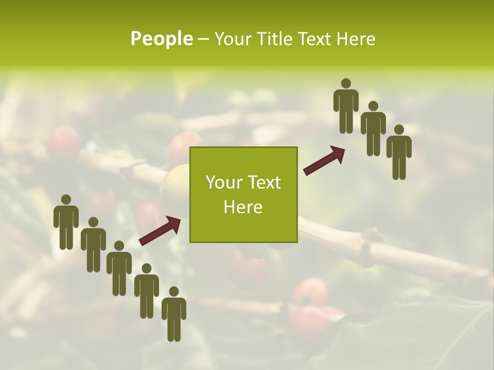 A Bunch Of Berries Are Growing On A Tree PowerPoint Template