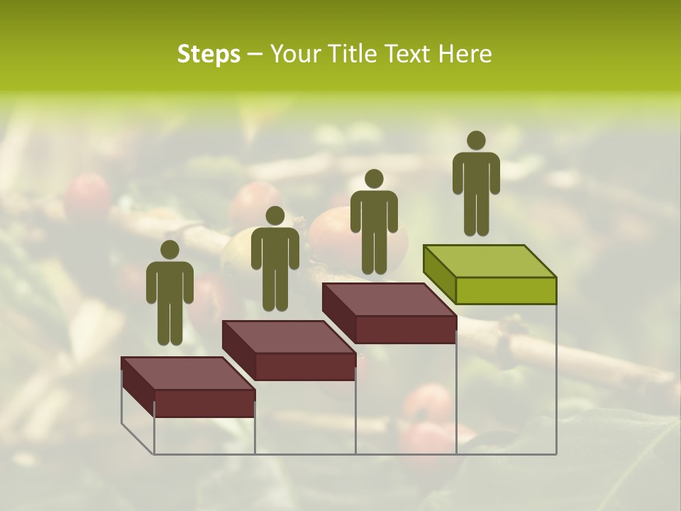 A Bunch Of Berries Are Growing On A Tree PowerPoint Template