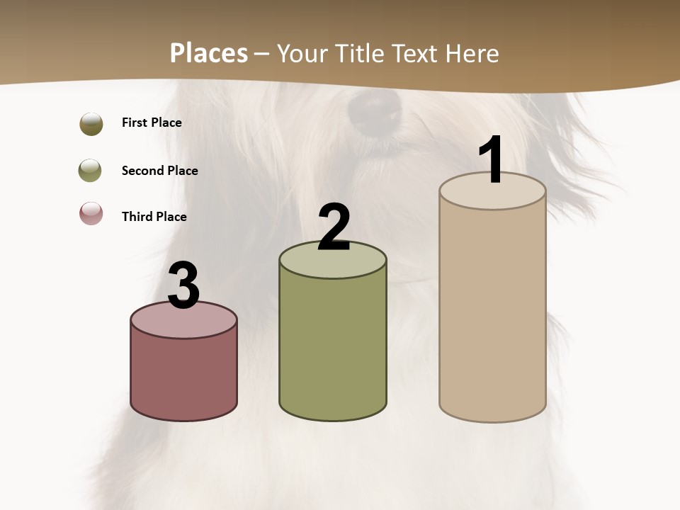 A White And Brown Dog Sitting On Top Of A White Floor PowerPoint Template