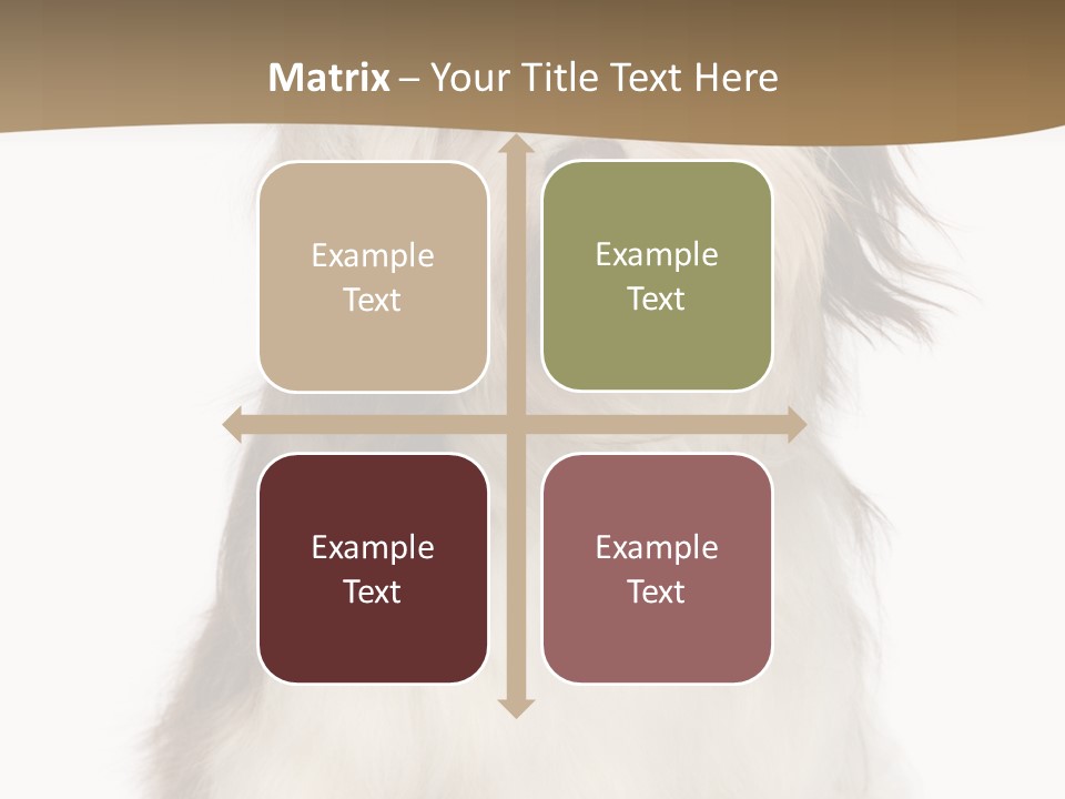 A White And Brown Dog Sitting On Top Of A White Floor PowerPoint Template