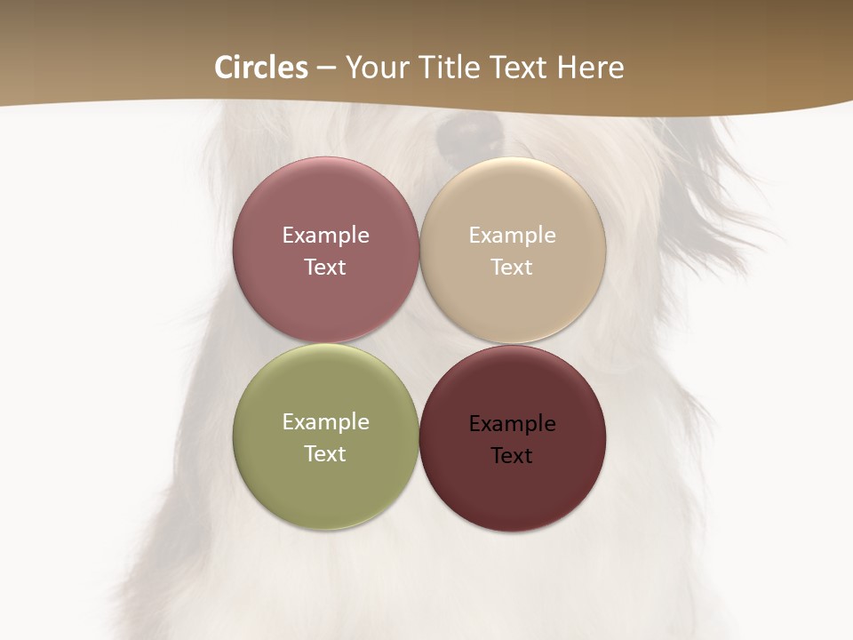 A White And Brown Dog Sitting On Top Of A White Floor PowerPoint Template