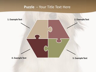 A White And Brown Dog Sitting On Top Of A White Floor PowerPoint Template