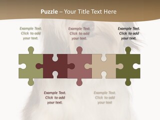 A White And Brown Dog Sitting On Top Of A White Floor PowerPoint Template