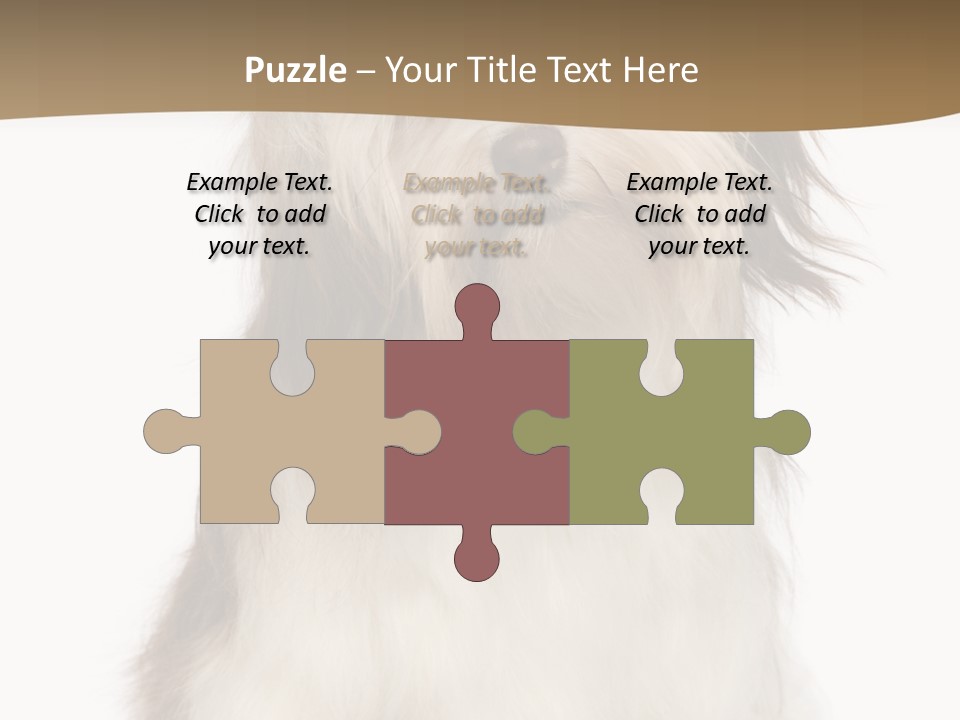 A White And Brown Dog Sitting On Top Of A White Floor PowerPoint Template