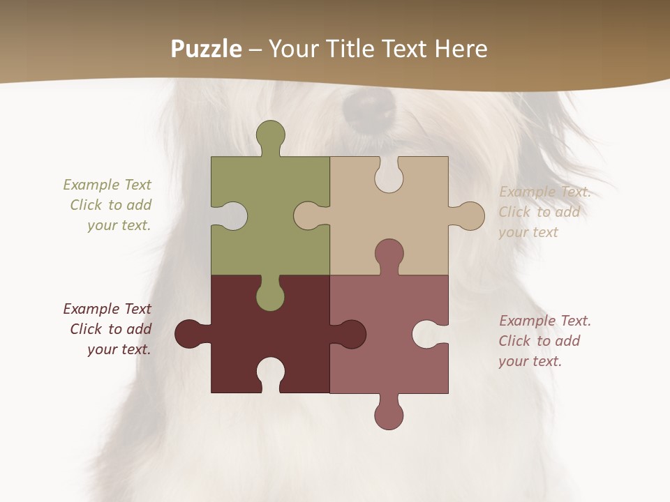 A White And Brown Dog Sitting On Top Of A White Floor PowerPoint Template
