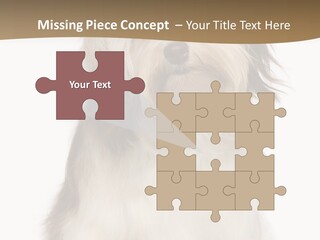 A White And Brown Dog Sitting On Top Of A White Floor PowerPoint Template