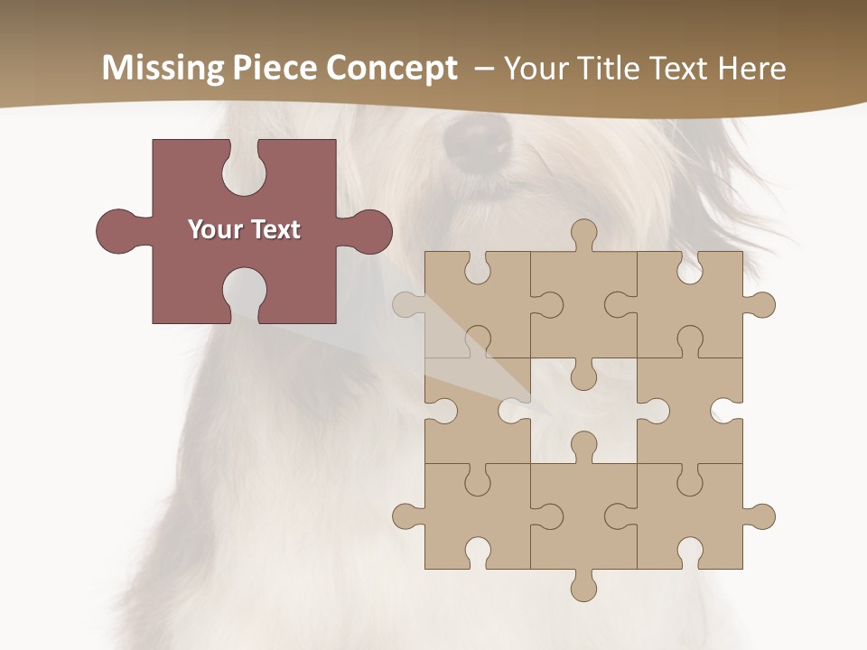 A White And Brown Dog Sitting On Top Of A White Floor PowerPoint Template