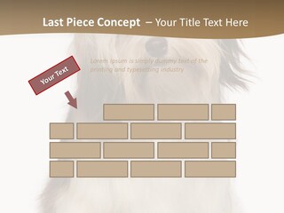 A White And Brown Dog Sitting On Top Of A White Floor PowerPoint Template