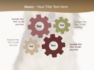 A White And Brown Dog Sitting On Top Of A White Floor PowerPoint Template