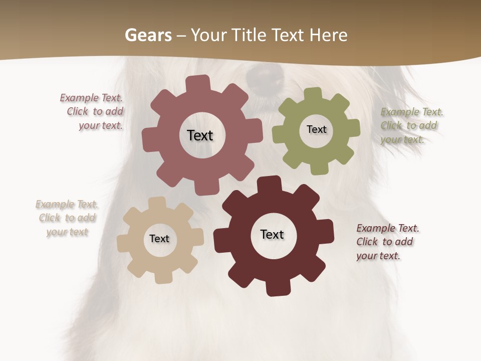 A White And Brown Dog Sitting On Top Of A White Floor PowerPoint Template